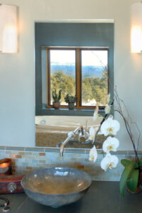 For the Birds: A Healthy Home in New Mexico Image